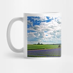 Lavender Field Purple Flowers Cotswolds UK Mug